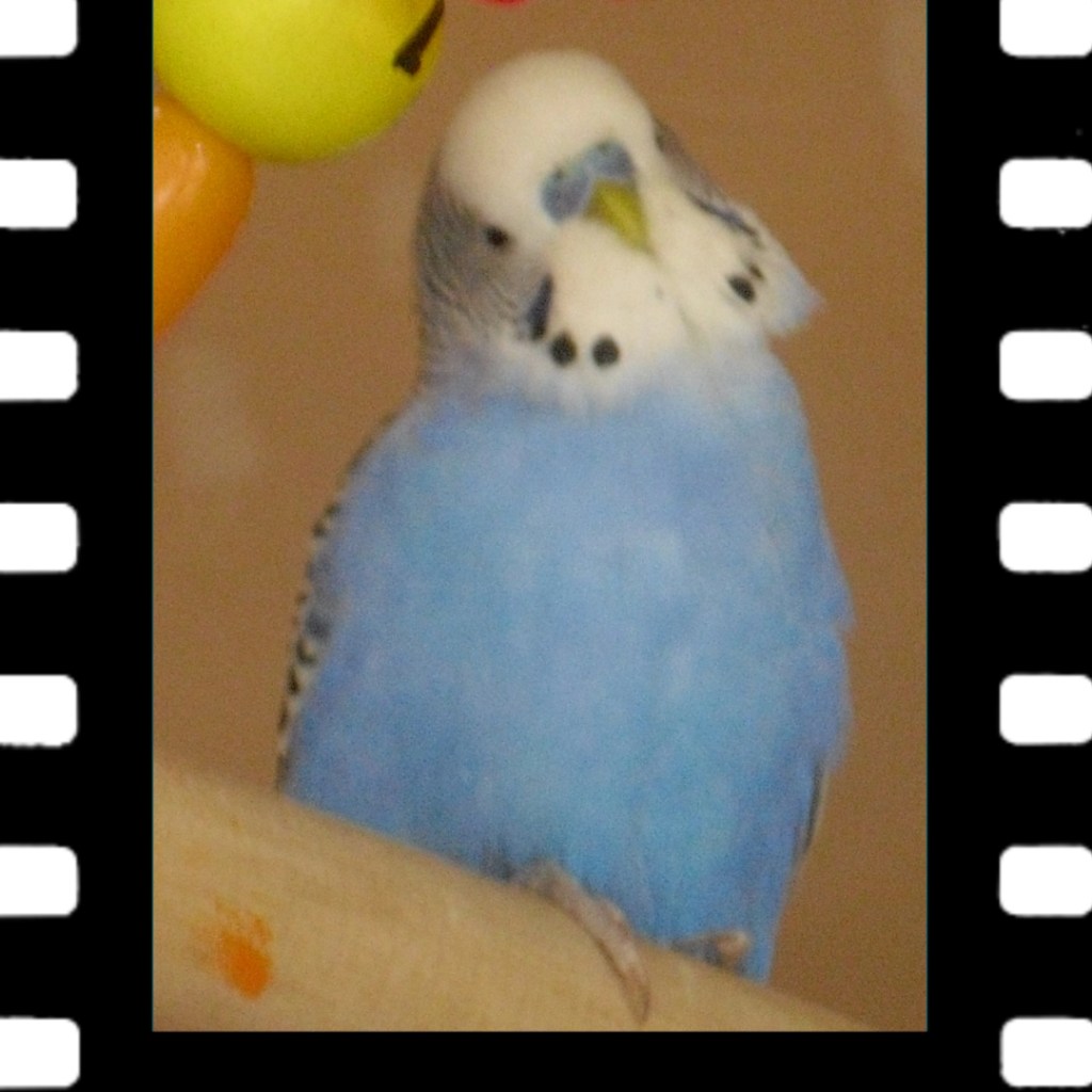 Welli Moritz verlor den Kampf gegen einen Hodentumor.