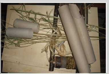 Papprollen für selbstgebasteltes Wellensittich-Spielzeug