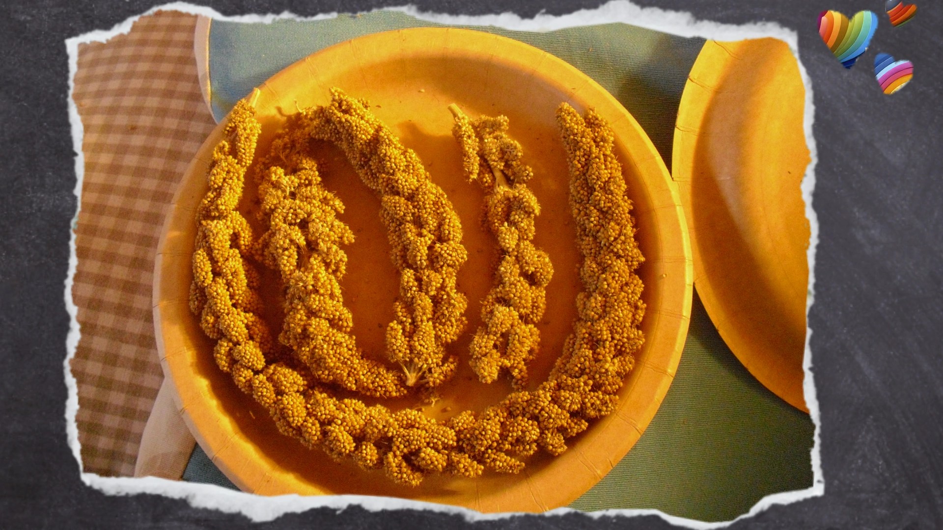 Pappteller mit Kolbenhirse als Foraging-Spielzeug