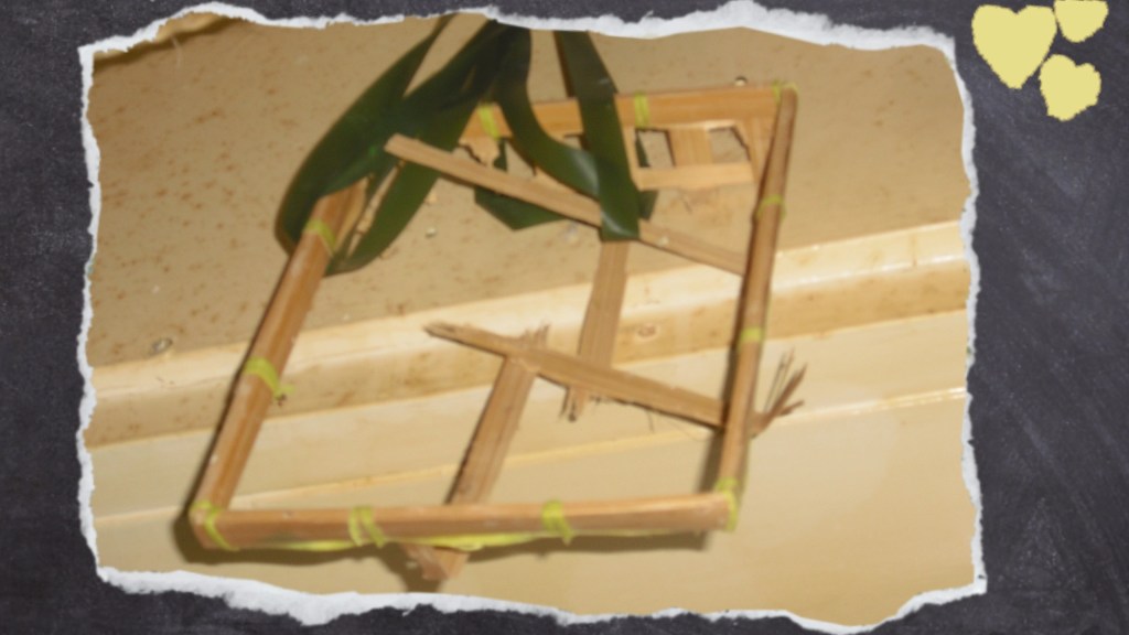 Die von Wellensittich Lily zerlegte Holzbox