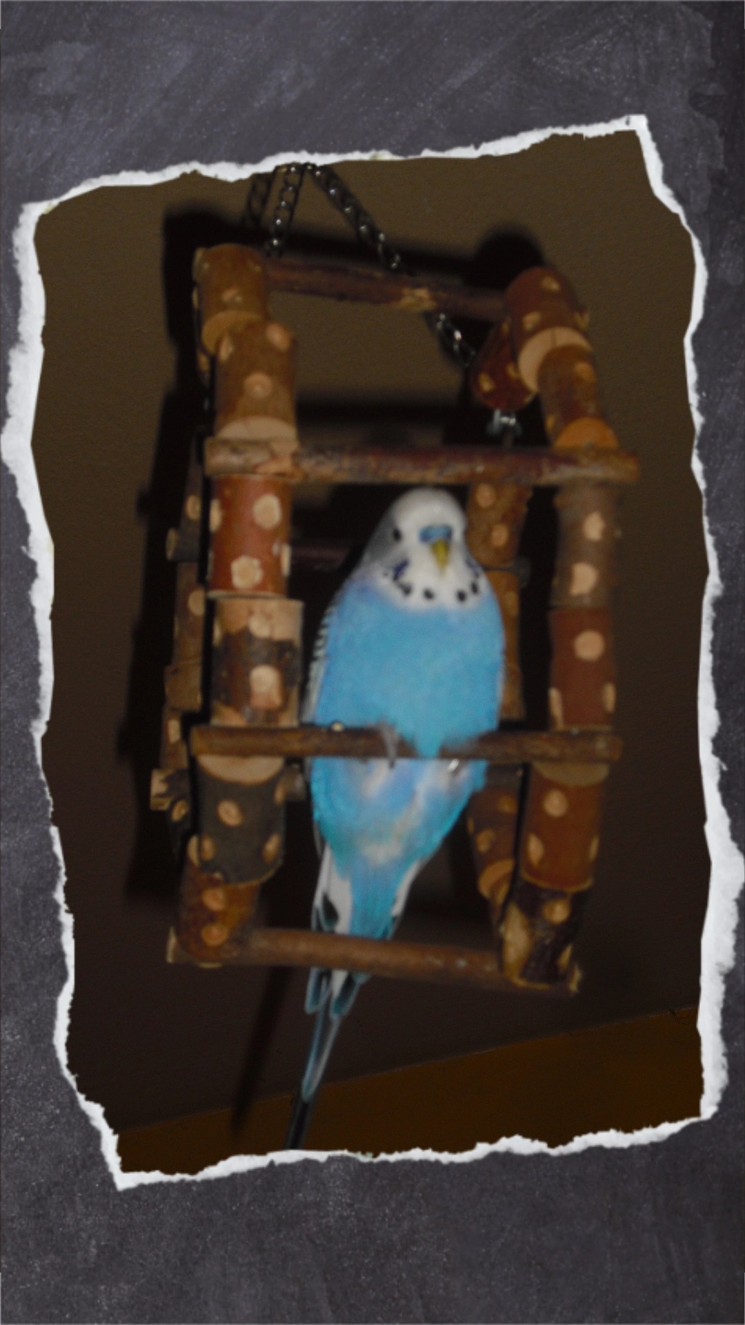 Schaukelrad aus Holz