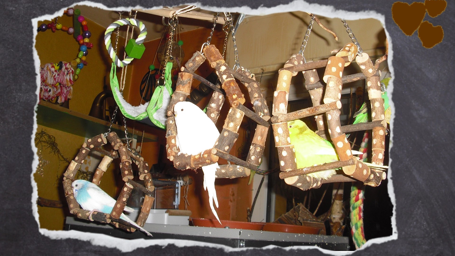 Immer gibt es abends Streit um den besten Platz in den Schaukelrädern