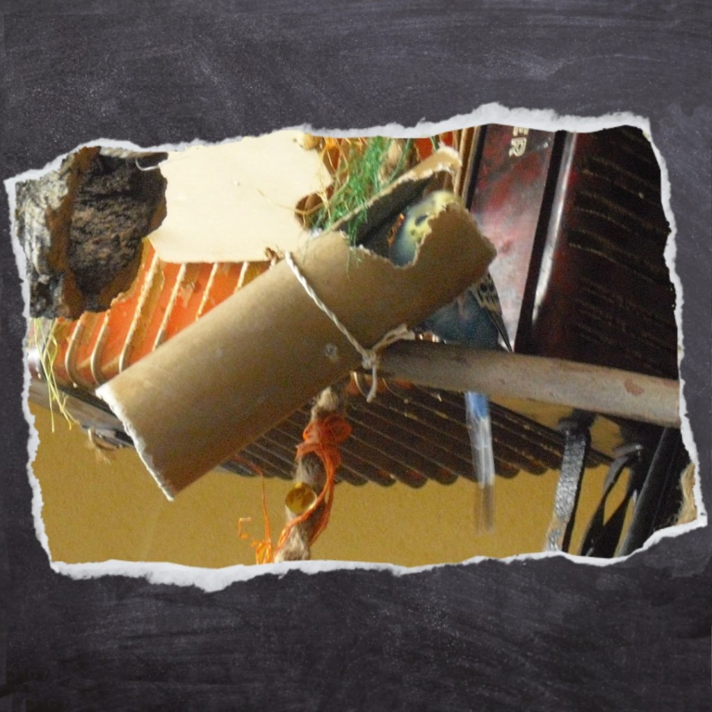 Selbstgebasteltes Spielzeug aus Pappe