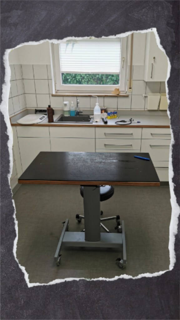 Behandlungszimmer in Tierarztpraxis mit Behandlungstisch