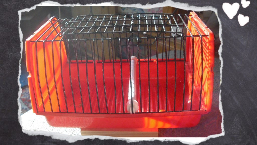 Kleiner Vogelkäfig mit Sitzstange für den Transport zum Tierarzt