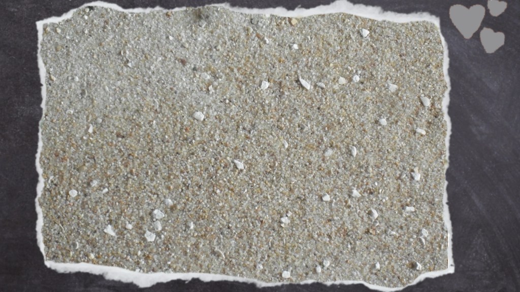 Nahaufnahme Vogelsand mit Aniskörnchen und Muschelgrit