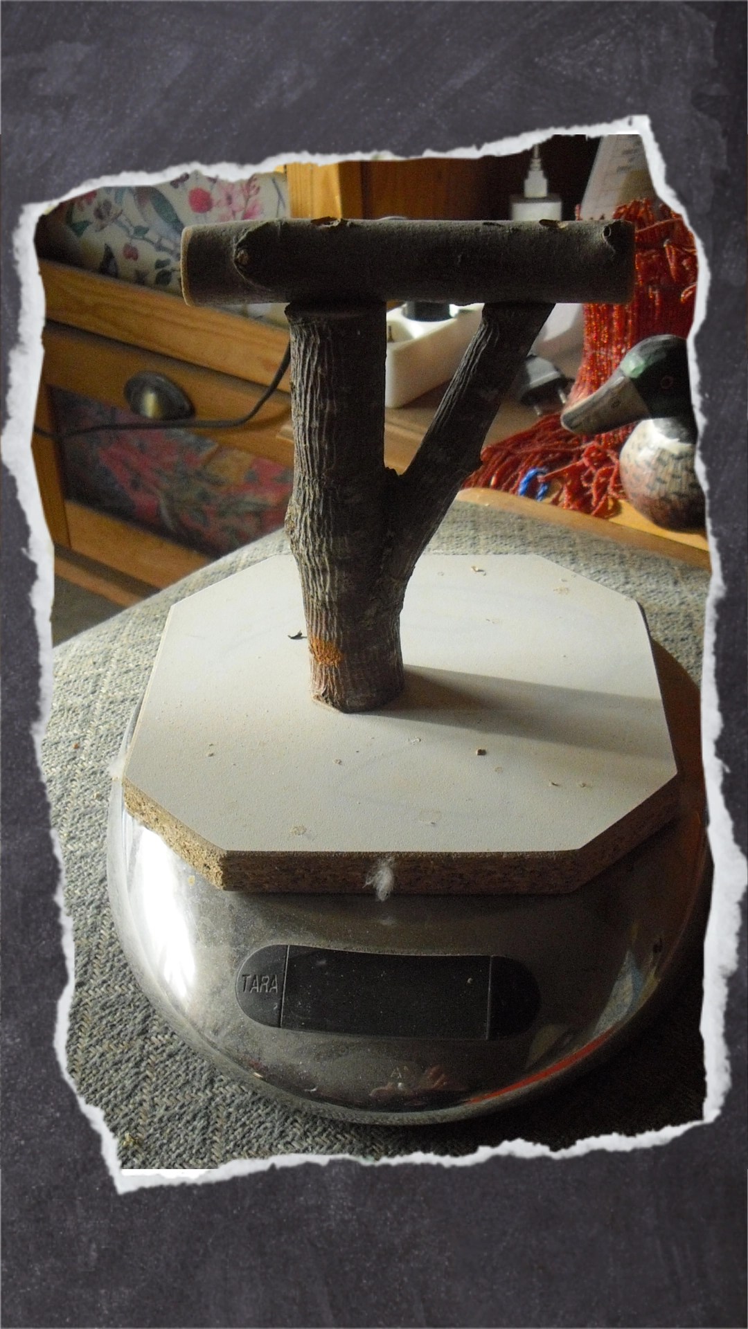 Küchenwaage mit Aufsatz und Sitzstange für Wellensittiche