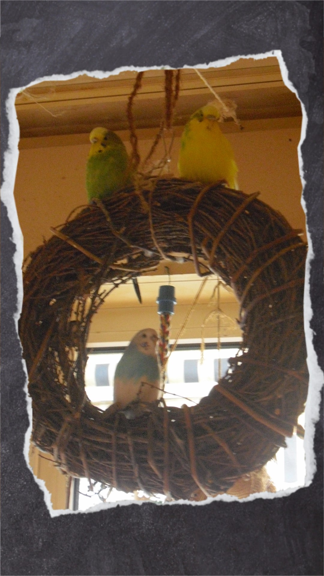 Unbehandelter Dekokranz aus Weidenholz