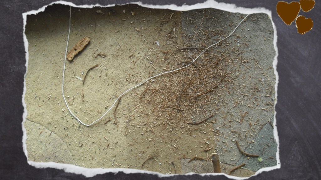 Resultat der Knabber-Arbeit