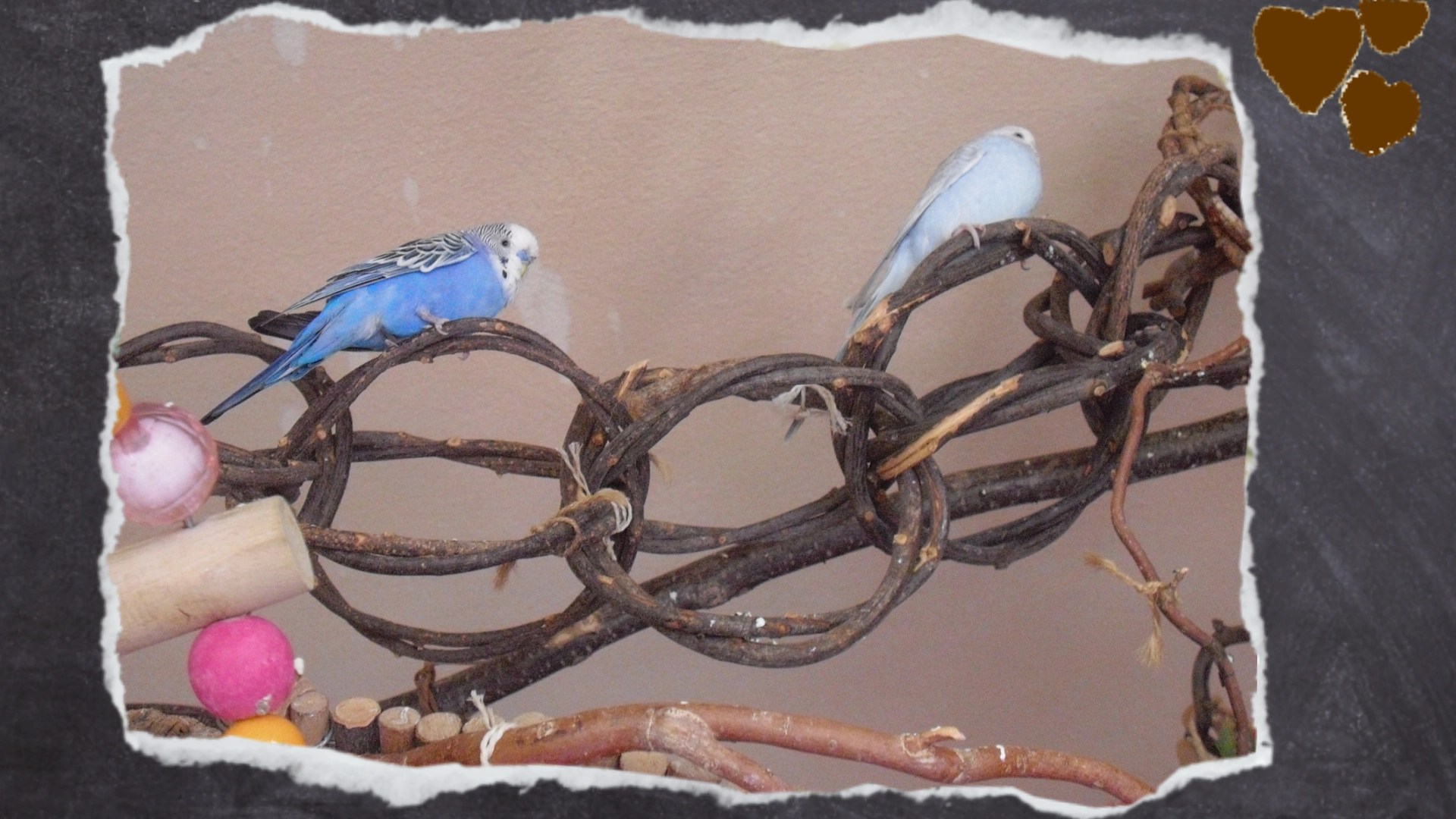 Kette aus Weidenholzringen