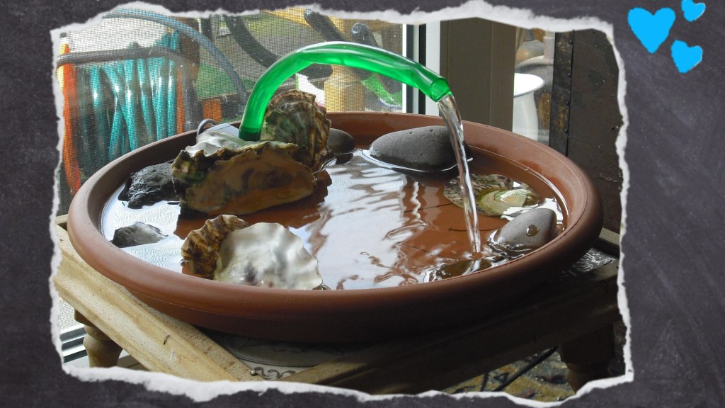 Aquariumspumpe in Wasserschale mit Muscheln und kleinen Steinen