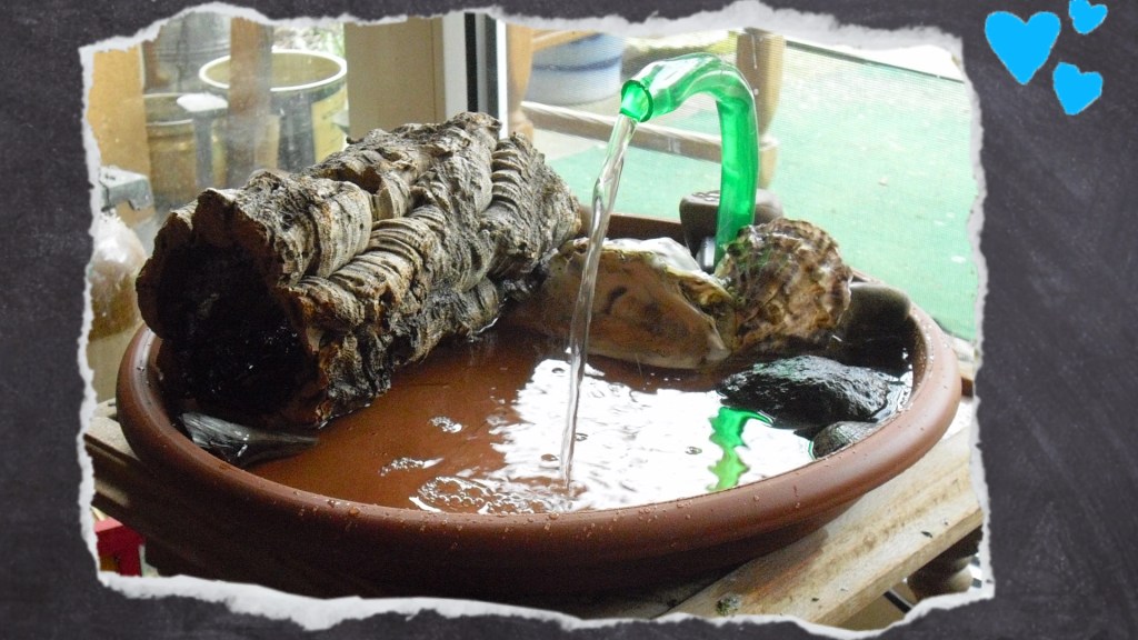 Nahaufnahme der laufenden Wellidusche mit Korkröhre und Muscheln in Wasserschale