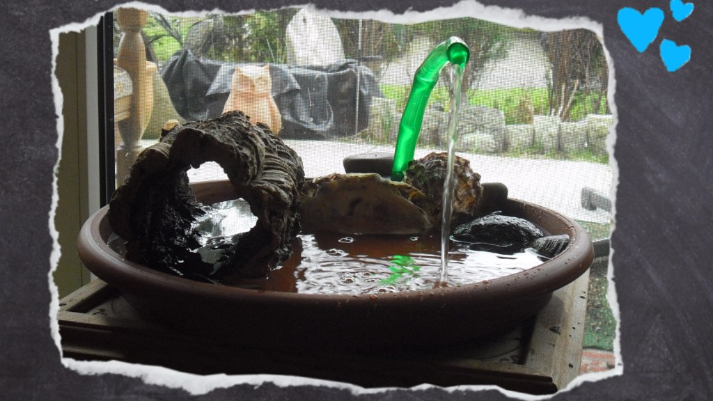 Wellensittich-Dusche mit Korkröhre und Muscheln zur Beschäftigung der Wellis