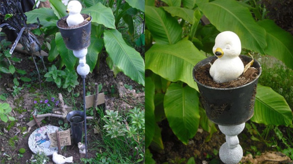 Ecke im Garten den ich als Vogel-Friedhof nutze