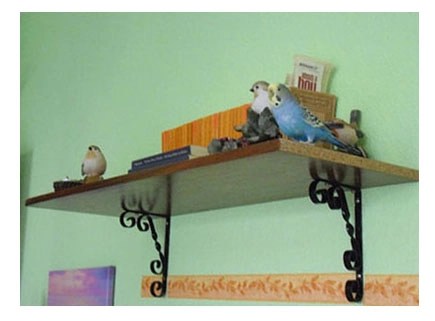 Wellensittich auf Bücherregal