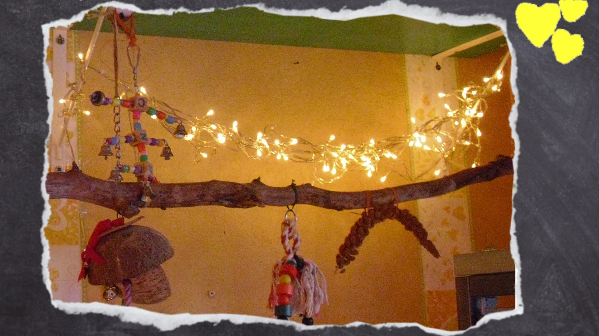 Lichterketten flackern für Wellensittiche