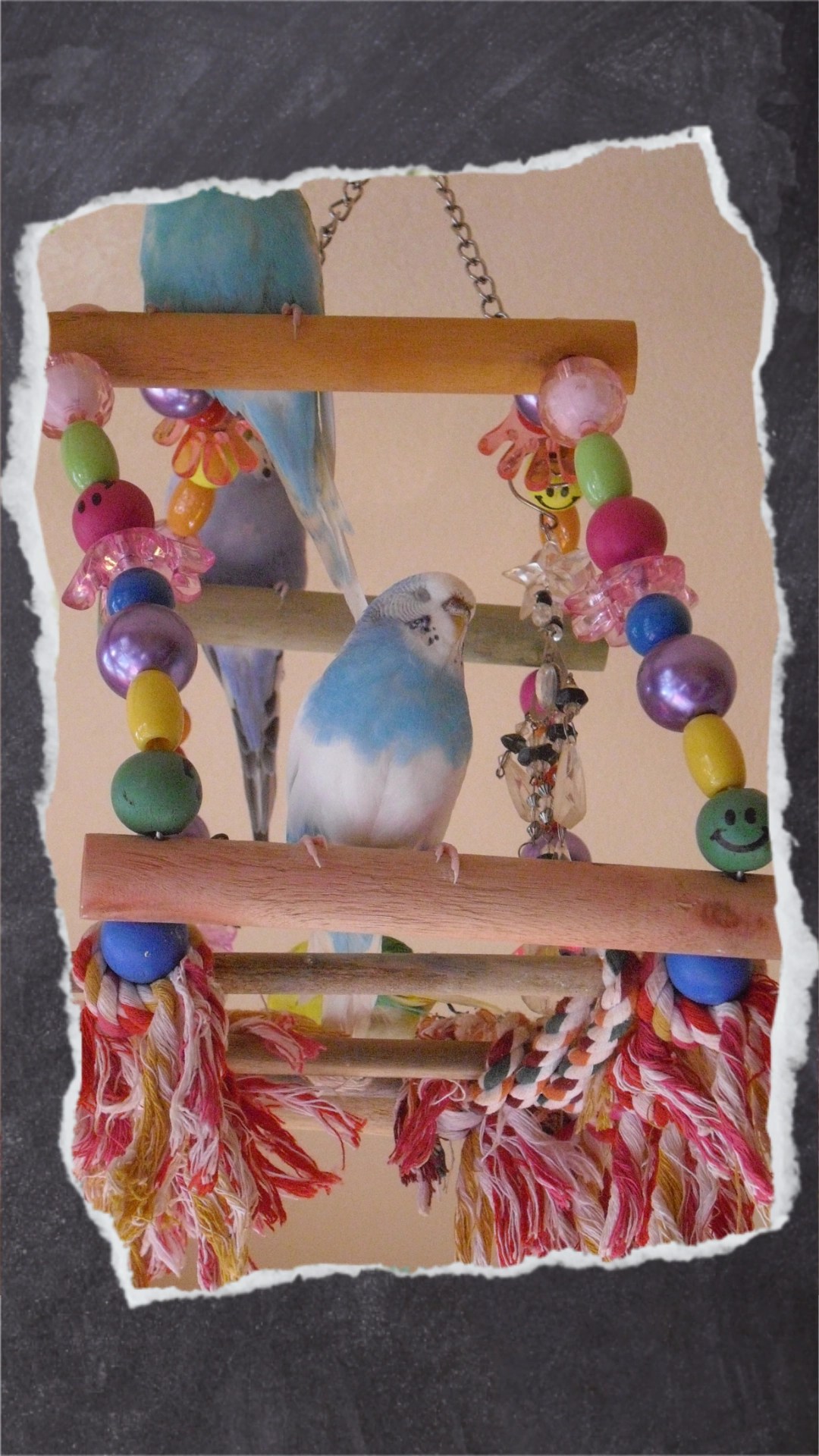 Wolke sitzt dösend auf Schaukelrad