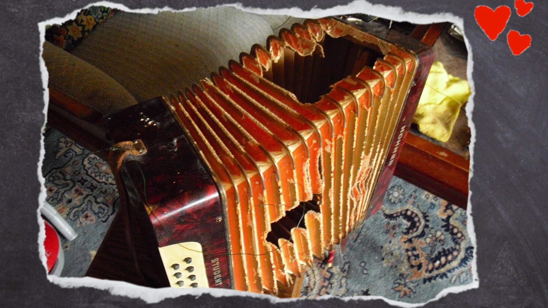 Zwei Löcher haben Wellensittiche in diese Ziehharmonika geknabbert