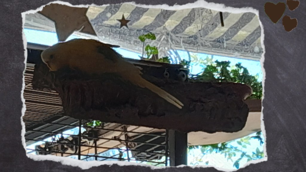 Maja liegt auf Korkbrett