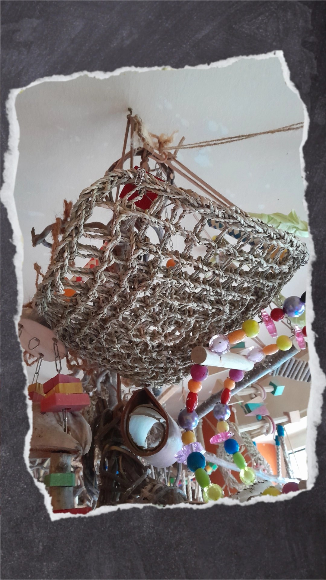 Seegrasmatte für Handicap-Wellensittiche